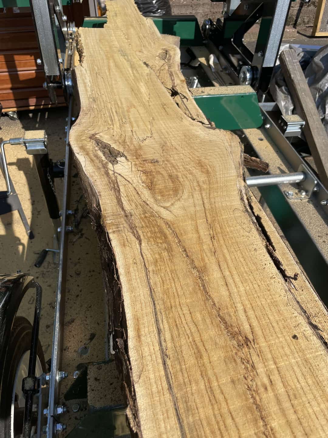 A freshly cut live-edge slab resting on the bed of a portable band sawmill.