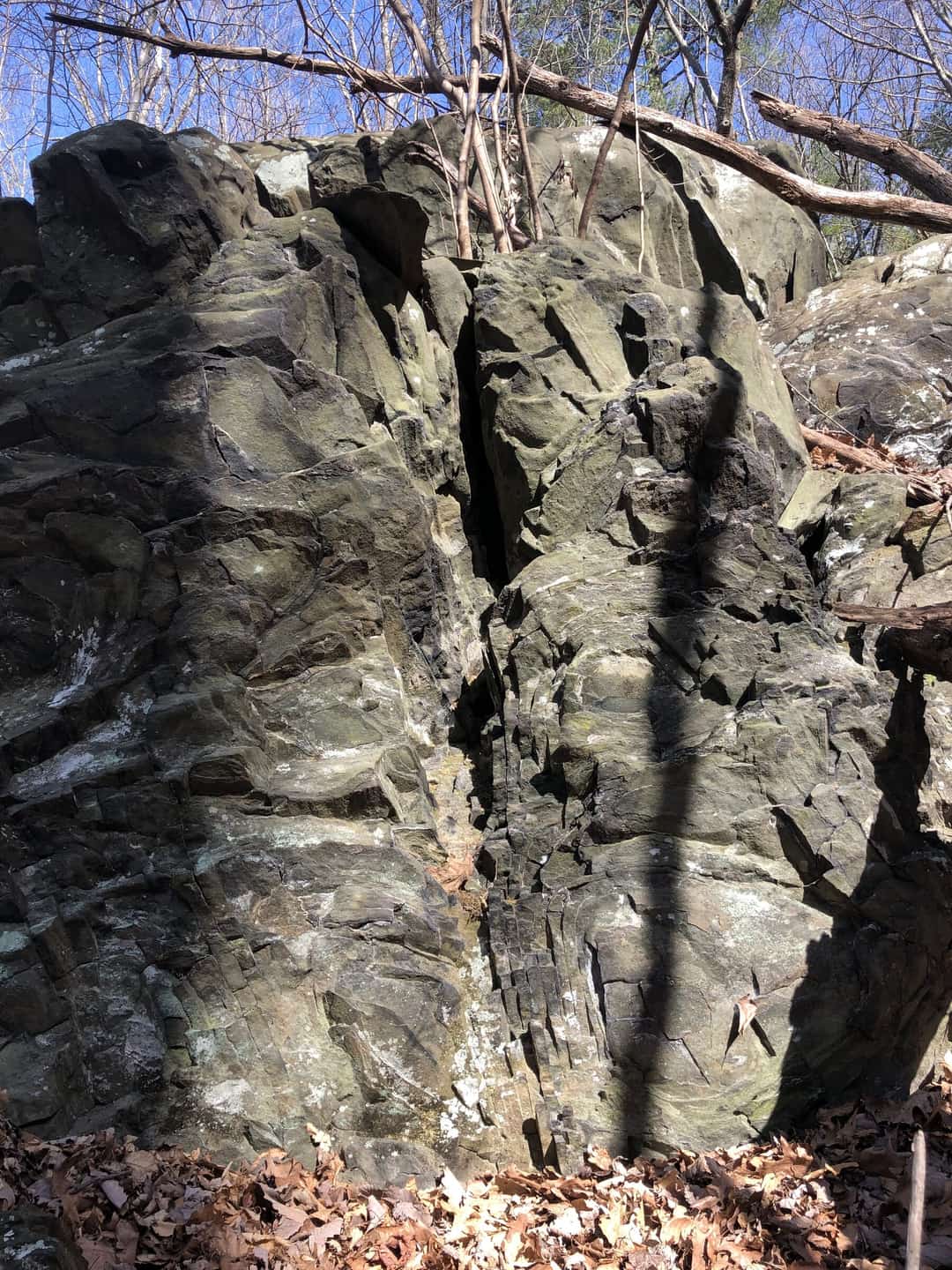 A vertical outcrop of dark rock rising out of the forest floor.